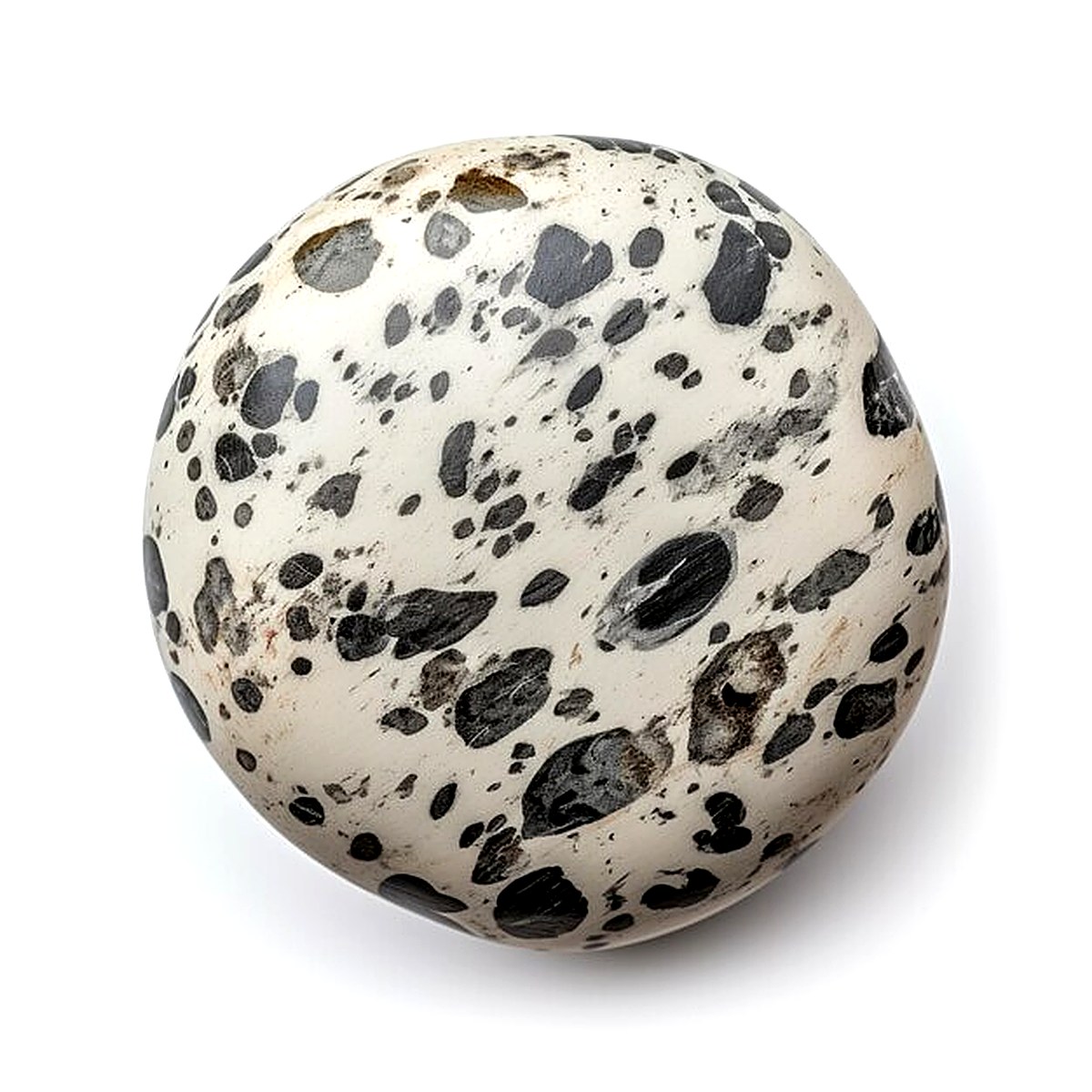 Dalmatian Jasper crystal