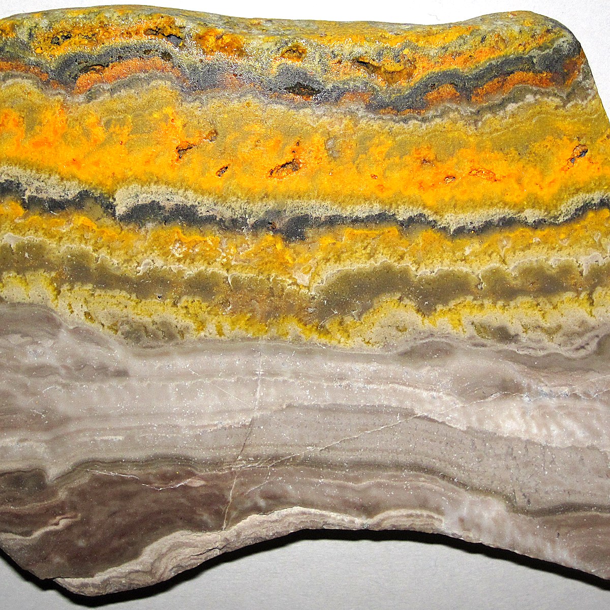Jasper (Bumblebee)* crystal