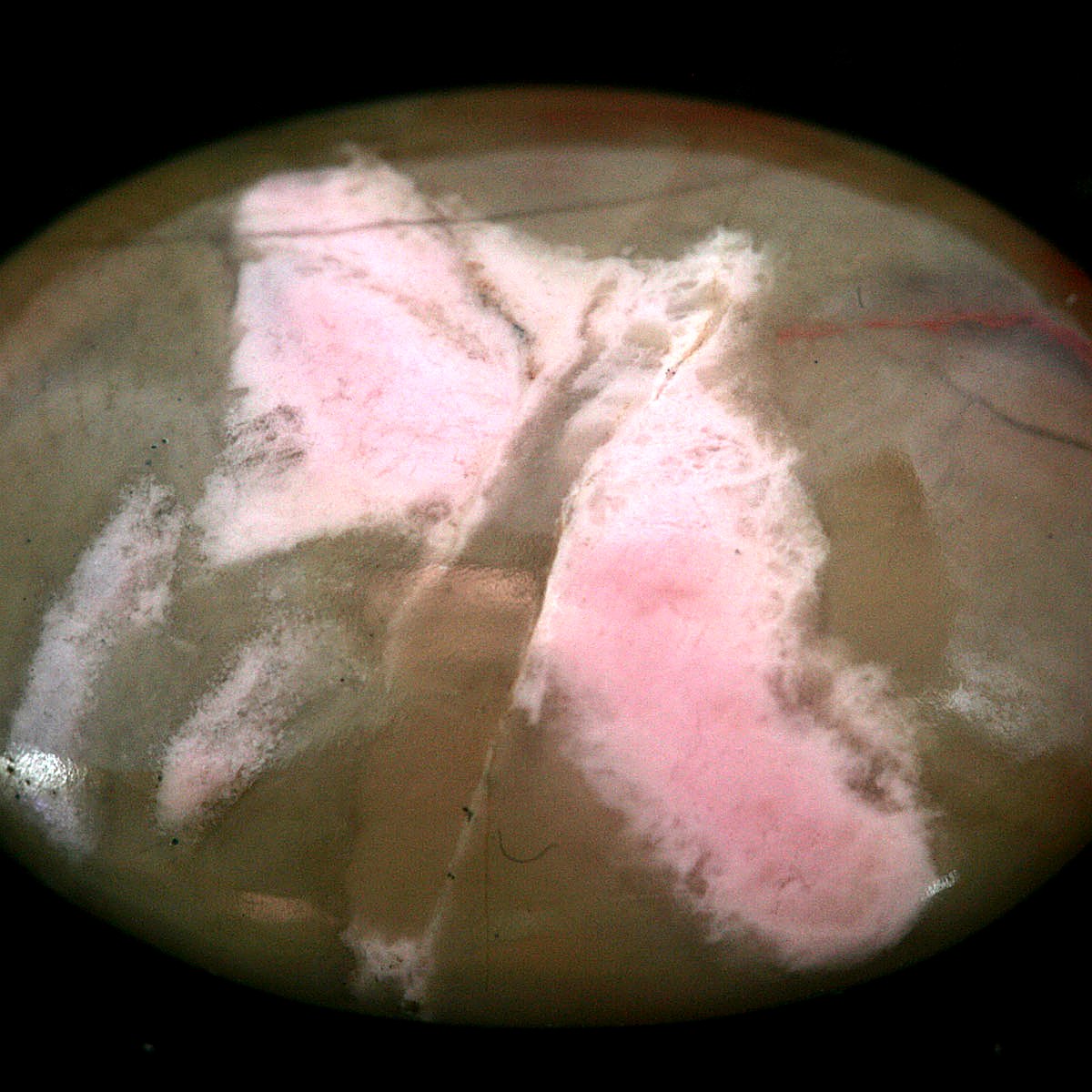 Jasper (Mookaite) crystal