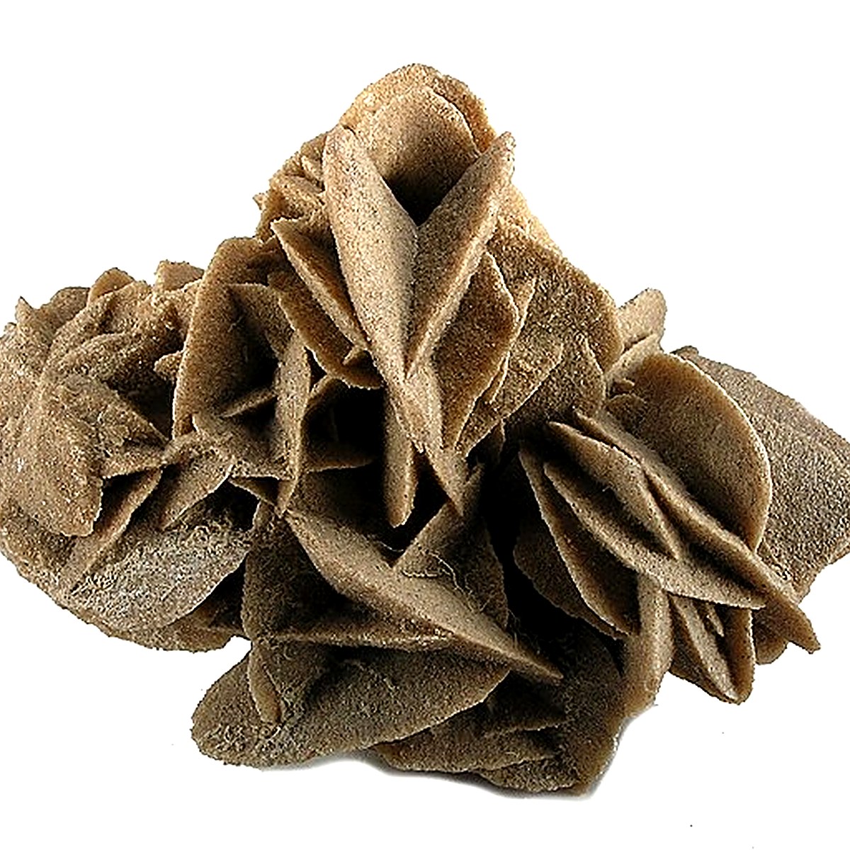 Selenite (Desert Rose Gypsum) crystal